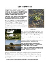 Steckbrief-Teichfrosch-Seite-1.pdf